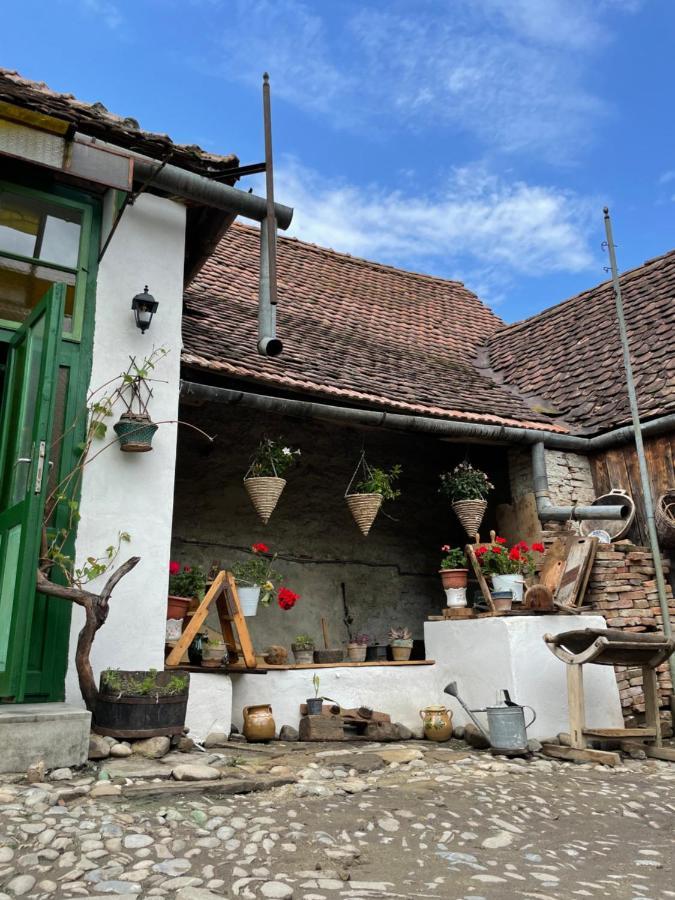 Saschiz 175 Guesthouse Екстер'єр фото