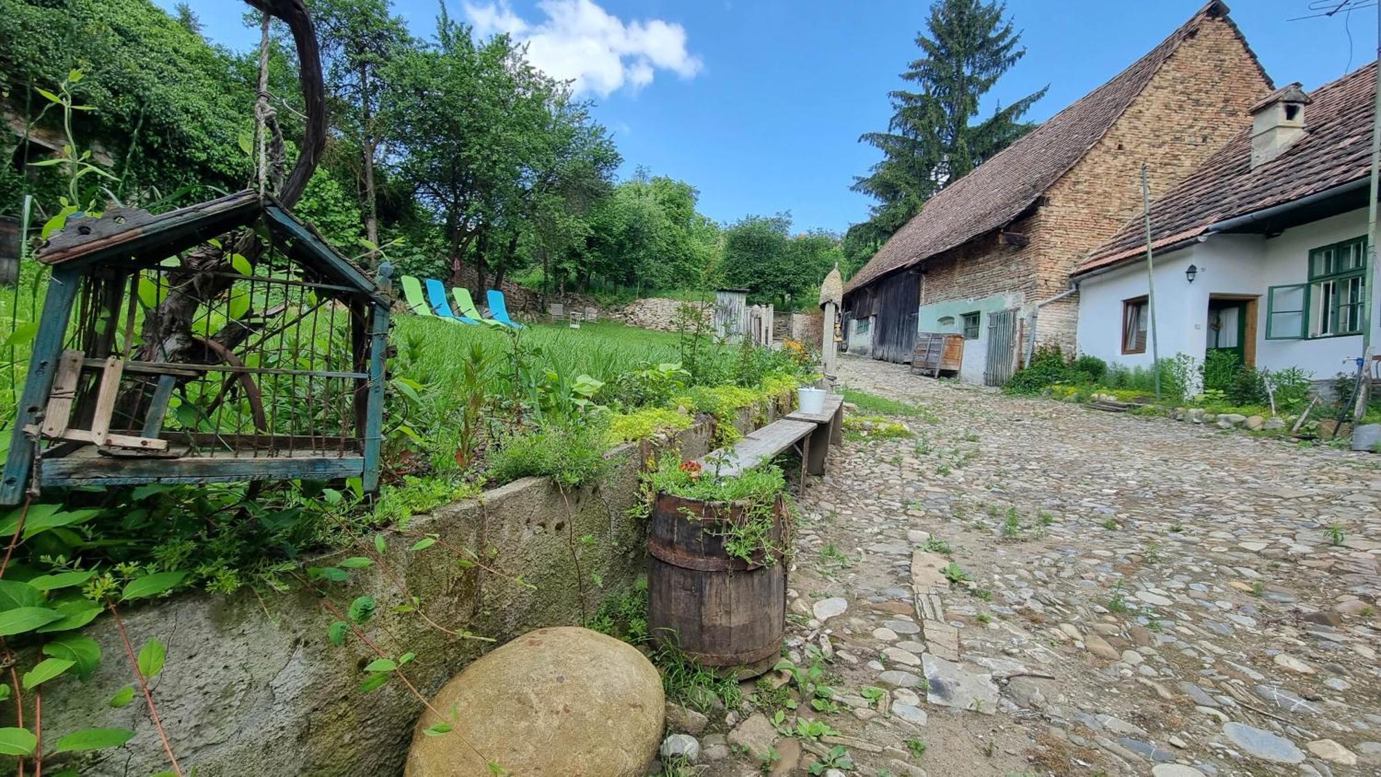 Saschiz 175 Guesthouse Екстер'єр фото