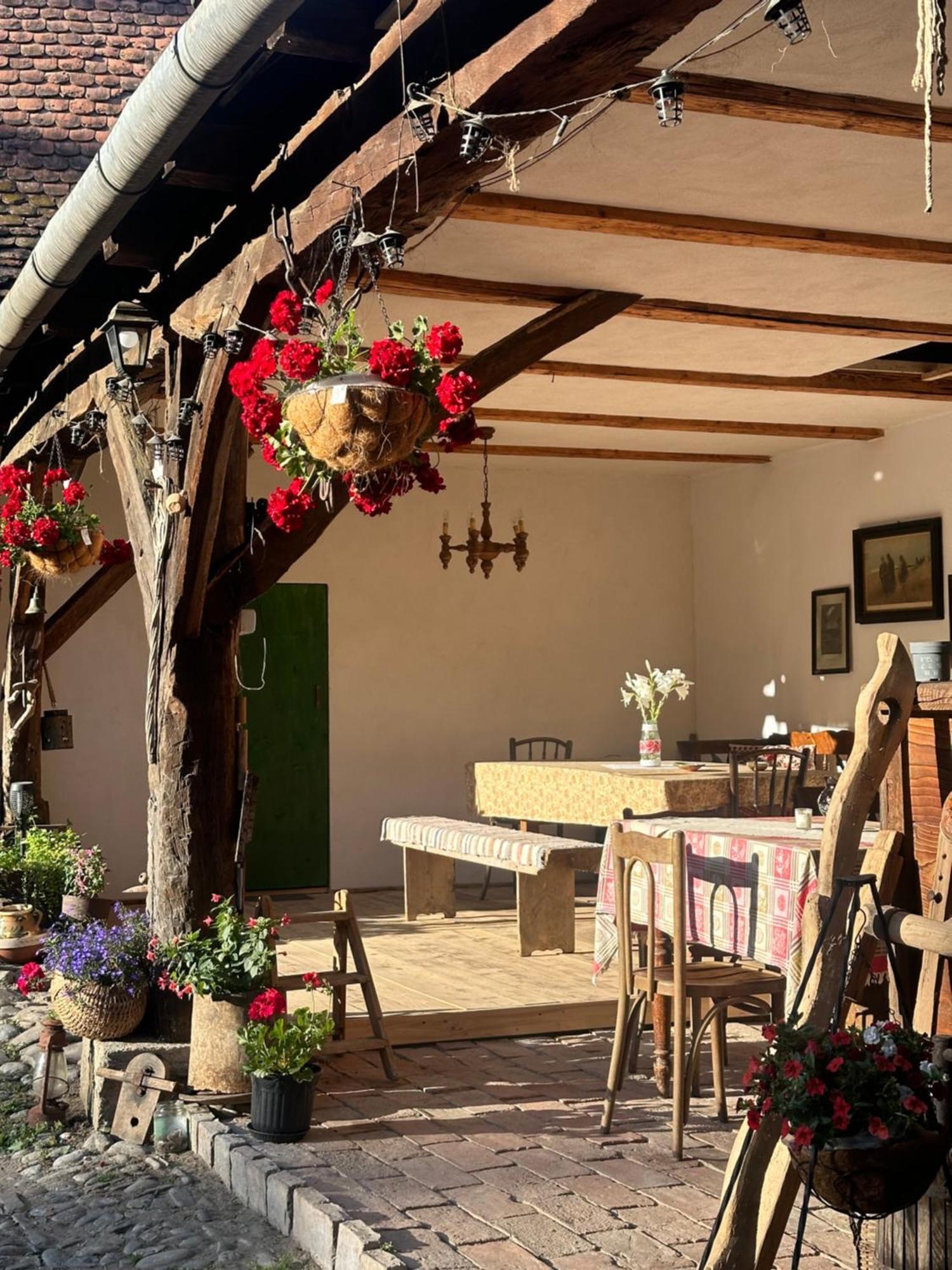 Saschiz 175 Guesthouse Екстер'єр фото
